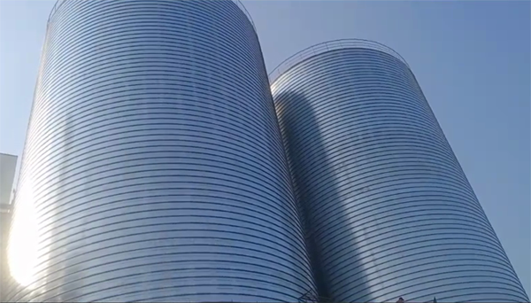 召陵2座混凝土高架卷板仓